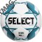 Мяч футбольный SELECT Team FIFA